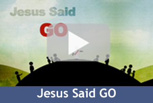 03 GOVideo